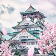 Japón en 16 días: Tokio, Kioto, Osaka, vuelos y hotel