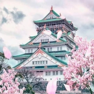 Japón en 16 días: Tokio, Kioto, Osaka, vuelos y hotel