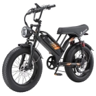 Bicicleta eléctrica U5 PURE UNICORN, 80 km de autonomía