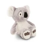 Peluche NICI Koala Barry Gris 18 cm Suave para Abrazar