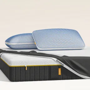 Pack Emma Elite Max 150x190: 2 Almohadas y Protector