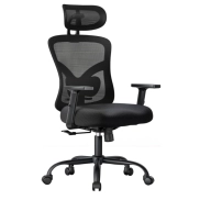 Silla Ergonómica de Oficina con Soporte Lumbar y Reposacabezas