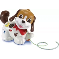 Aventuras y paseos con tu perrito infantil