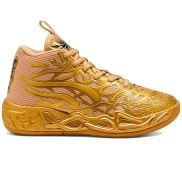 Phoenix MB.04 de Puma
