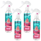 Pack de 4 ambientadores 250ml: Sandía, Melón y Coco