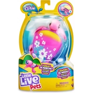 Tortugas Molonas Beachbloom: Mascota Interactiva Divertida