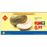 Piel de sapo: el delicioso melón verde