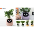 Ivy: Maceta inteligente de Tuya para el hogar