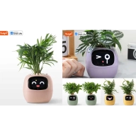 Ivy: Maceta inteligente de Tuya para el hogar