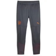 Pantalones de Entrenamiento Manchester City Adultos 2023-2024