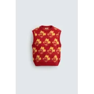 Chaleco Mickey Harry Lambert para Zara x Disney