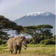 Vuelos a KENIA y VUELTA + Equipaje Gratis desde MAD 295€