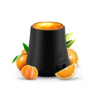 Air Wick Essential Mist - Ambientador y Recambio (2 unidades)