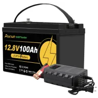 Batería 12V LiFePO4 100Ah 200Ah 300Ah - BMS y Alta Durabilidad