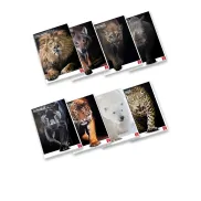 Cuadernos A4 de animales con 80 páginas y borde de plomo