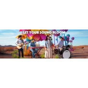 Ofertas increíbles en guitarras clásicas y eléctricas Thoman