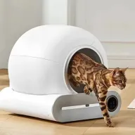 Arena inteligente para gatos en caja automatizada