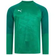 Sudadera de entrenamiento Hombre PUMA CUP Sweat Core