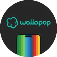 Consigue hasta 30 € de Cashback en Wallapop con bunq