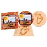 Picture Disc Ed. Limitada de Rock Transgresivo (Lp-Vinilo)