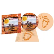 Picture Disc Ed. Limitada de Rock Transgresivo (Lp-Vinilo)