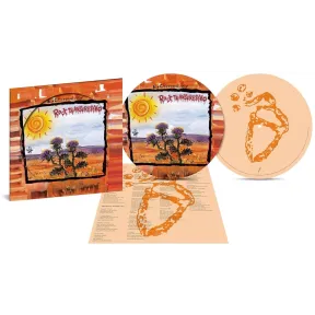 Picture Disc Ed. Limitada de Rock Transgresivo (Lp-Vinilo)