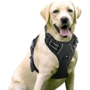 Arnés Antitirones con Reflectantes para Perros - Rabbitgoo