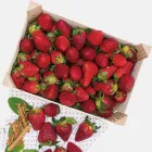 Fresón español a solo 2,35€ el kilo.