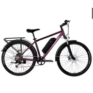 Bicicleta Emotorad T-Rex Pro 29 para montaña eléctrica