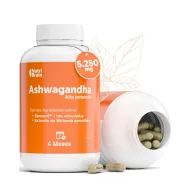 Ashwagandha Sensoril: Adaptógeno con 10% Withanólidos