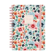 Curso Moniquilla 2026: Agenda Detallada y Actividades