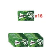 Chicle Trident 60 Minutos Hierbabuena 16 x 22 g - 352g