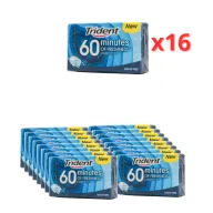 Chicle menta Trident 60 Minutos 16 x 20 g
