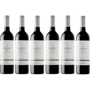 6 botellas de Vino Tinto Pago del Cielo Celeste Roble