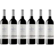 6 botellas de Vino Tinto Pago del Cielo Celeste Roble