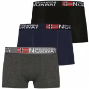Pack de Boxer Geographical Norway en 3 unidades