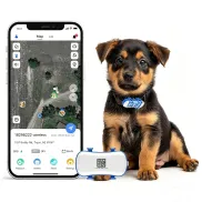 Rastreador GPS 4G para Perros y Mascotas con Seguimiento en Vivo