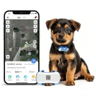 Rastreador GPS 4G para Perros y Mascotas con Seguimiento en Vivo