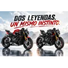 Naked de altas prestaciones: Mv Agusta Brutale 1000 RR
