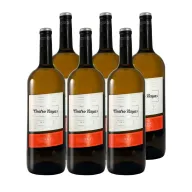 Cuatro Rayas Verdejo - 6 Botellas Magnum 1,5L