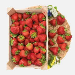 Bandeja de Fresas 500 gr. por solo 0,95€