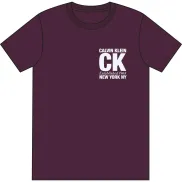 Camiseta gráfica masculina Calvin Klein SS 30s (Pack de 1)
