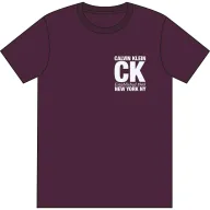 Camiseta gráfica masculina Calvin Klein SS 30s (Pack de 1)