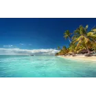 7 Noches en Resort 4* Todo Incluido en Punta Cana + Vuelos