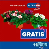 Este fin de semana, planta GRATIS en Carrefour por compras