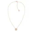Collar de Acero Inoxidable con Cristal para Mujer - Tommy Hilfiger