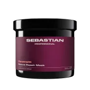 Mascarilla Revitalizante Sebatian Professional Penetraitt 500ml