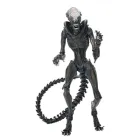 Ultimate Scorched Xenomorph: Figura Alien de 18 cm Romulus