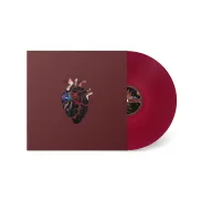 Know Better Learn Faster: Thao & the Get Down Stay Down