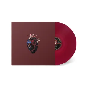 Know Better Learn Faster: Thao & the Get Down Stay Down